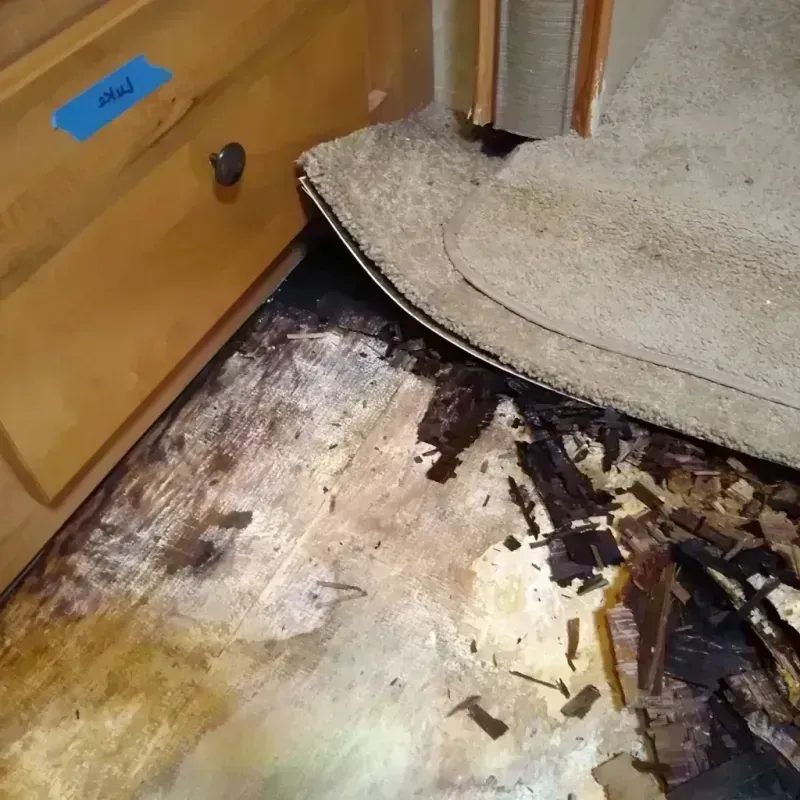 Wood Floor Water Damage in Phoenix, IL